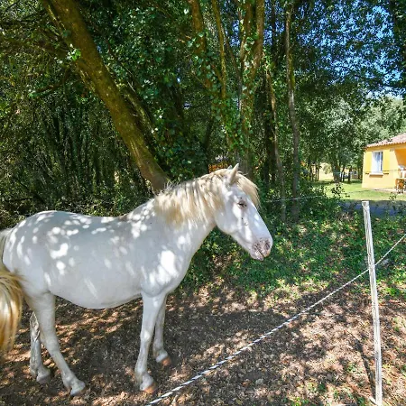 Gite In Holiday Park With Swimming Pool * Saint-Savinien